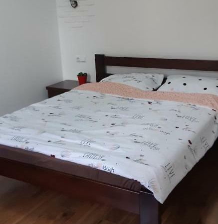 Transfer Apartment Lviv Buitenkant foto